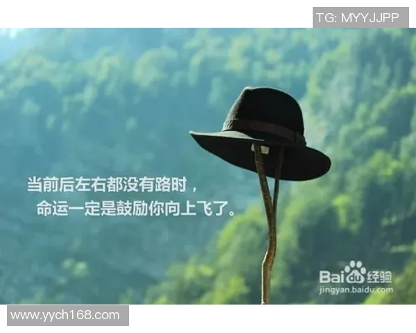 飞盘与梦想交织的旅程：张敏的深度对话与人生启示