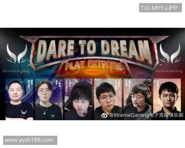 独家解析:WE战队成员个人能力深度对比与分析MBA